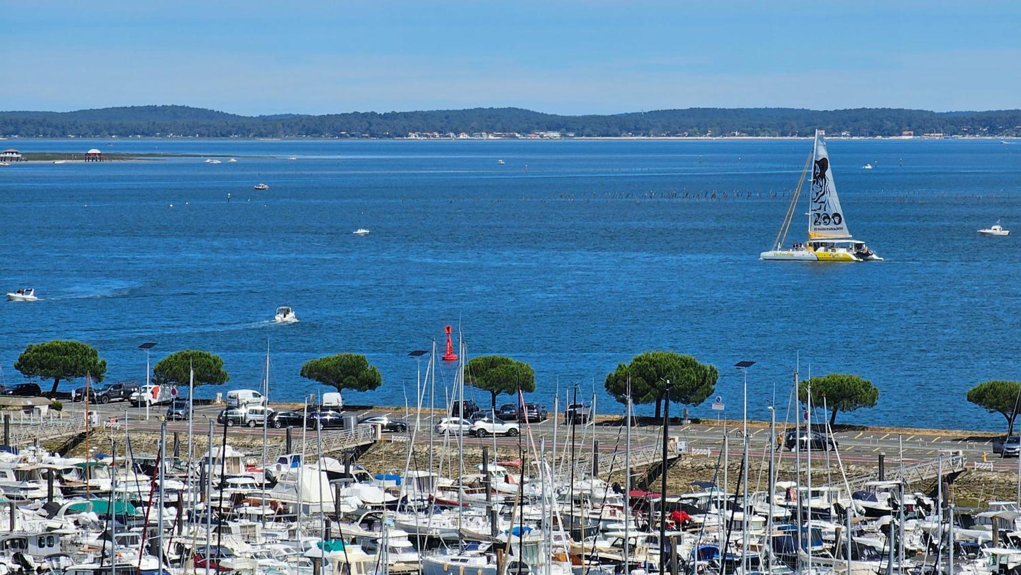 アルカションVue Panoramique Sur Bassin,Piscine Et Terrasseアパートメント エクステリア 写真